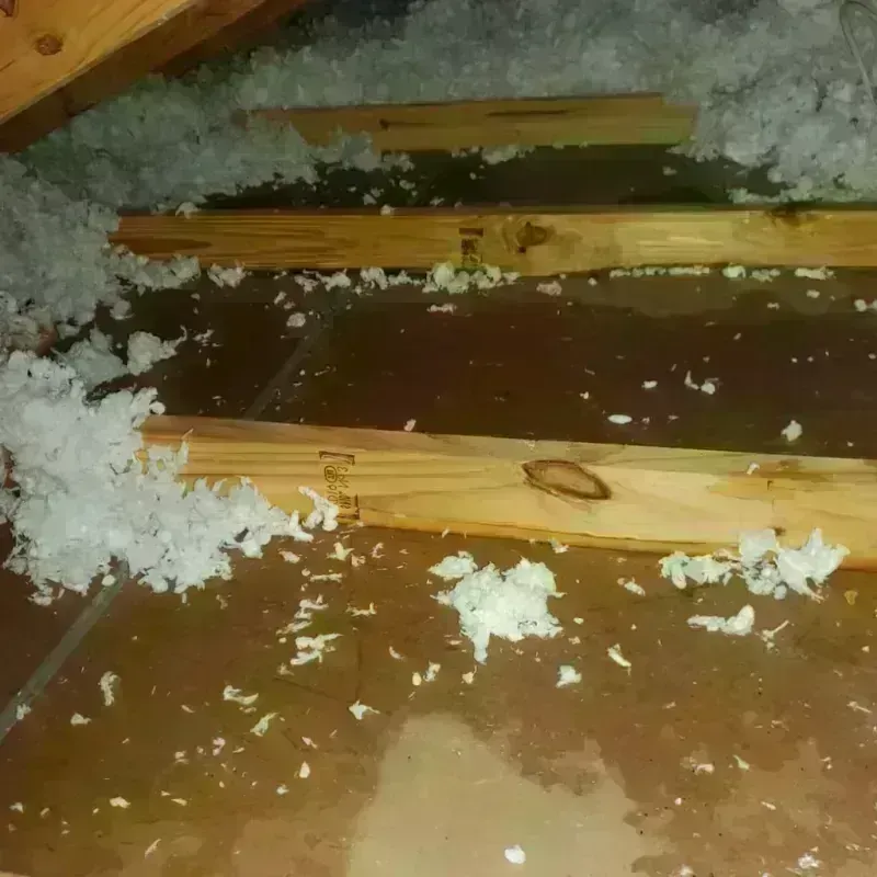 Attic Water Damage in Madison County, IN